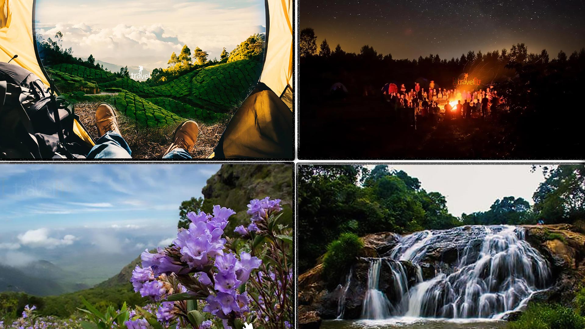 Kotagiri Neelakuriji Blooming Trek And Camping In Nilgiri Hills