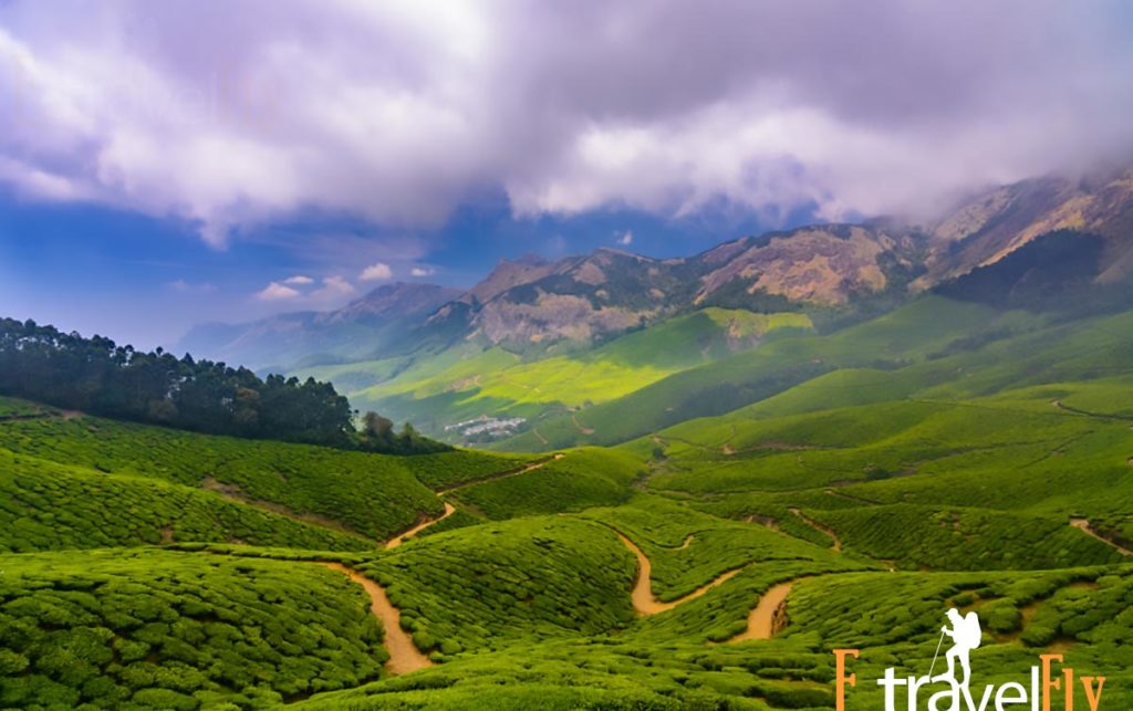 Munnar is Experiencing Luxury at Eastend Bungalows,