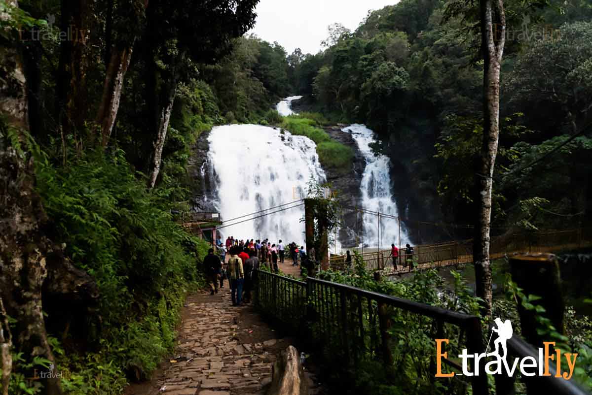coorg madikeri tour packages