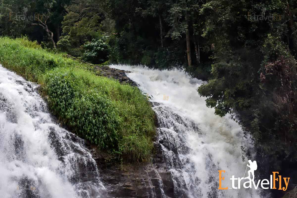 coorg madikeri tour packages