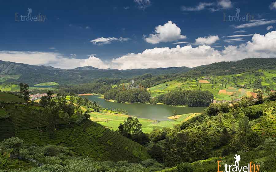 Ooty - Heaven on Hills Sightseeing Holiday Tour Packages