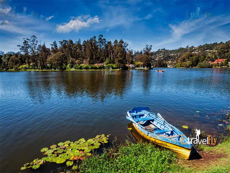 Kodaikanal Best Places to Visit - Sightseeing Holiday Tour Packages