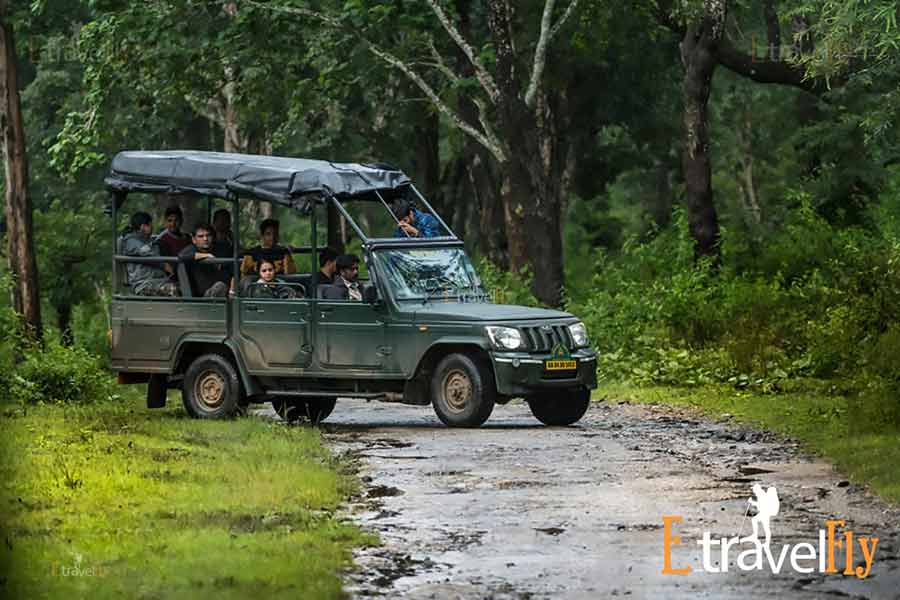 Coorg Wildlife Sanctuary Sightseeing Tour Packages