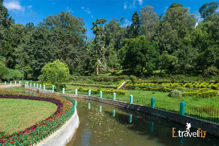 ooty tour packages tamilnadu tourism