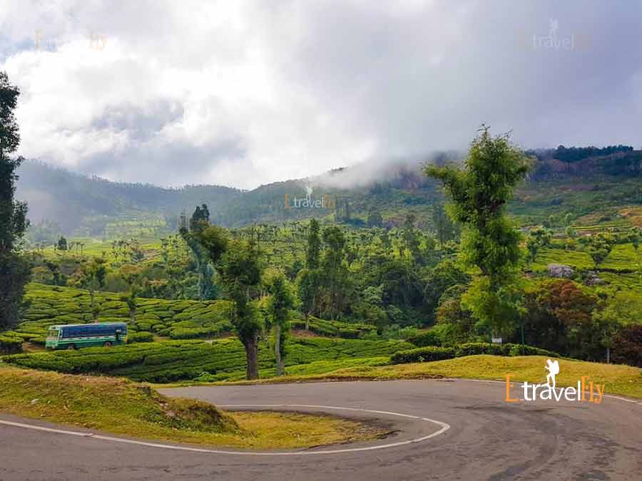 Ooty Queen of Hills Sightseeing Holiday Tour Packages