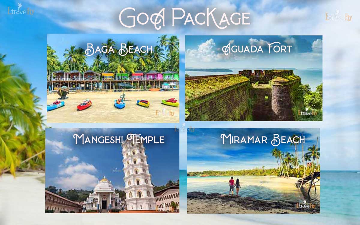 goa tour package from nagpur by flight