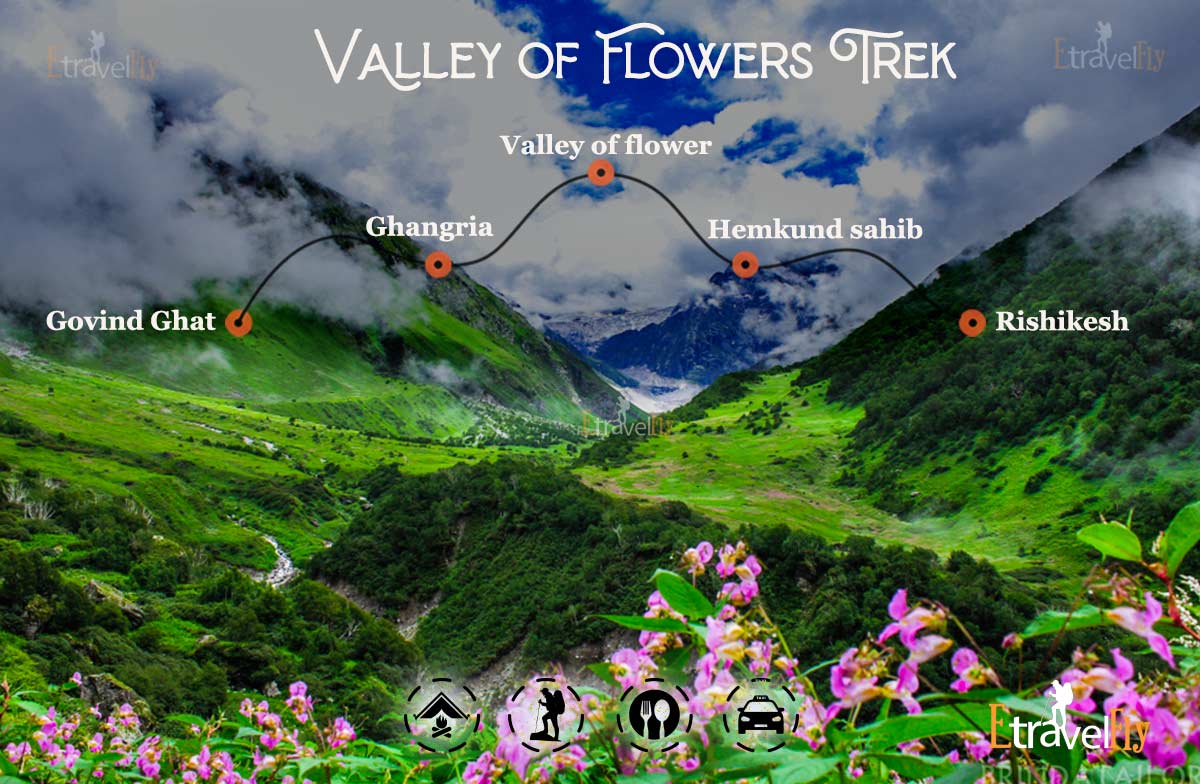 Valley Of Flowers Trekhemkund Sahib Trekvalley Of Flowers Trek Best Timevalley Of Flowers Trekking Packages 4 