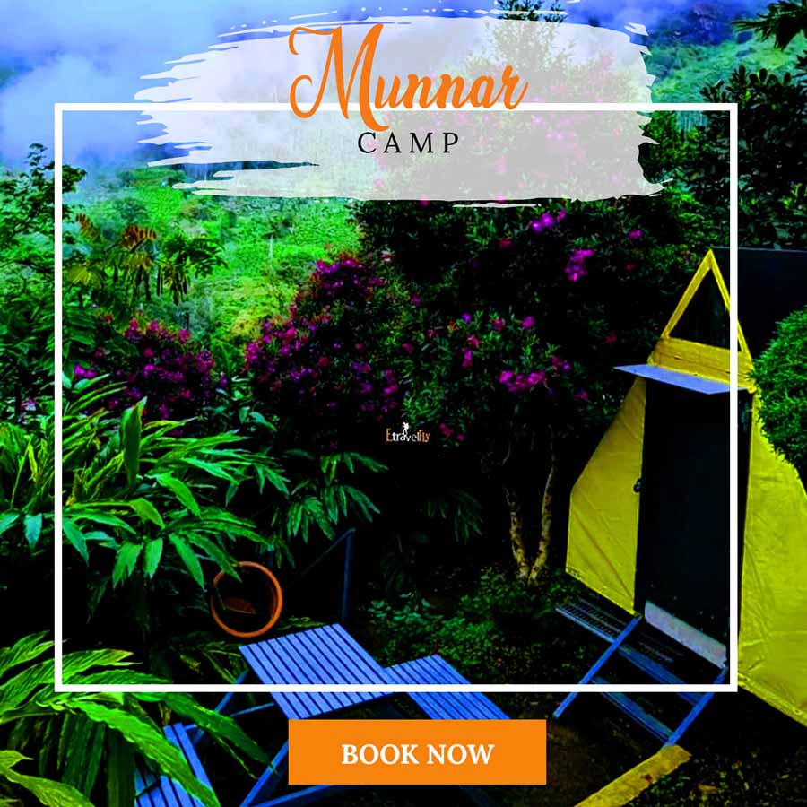Munnar Camp